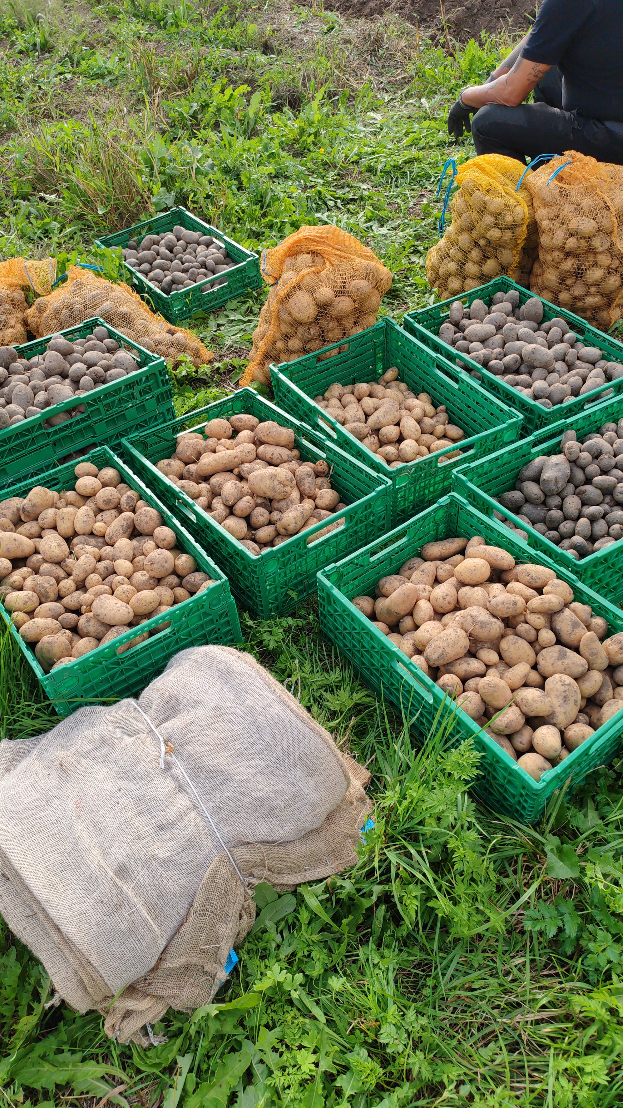 Foto dall’azienda Archeologa del gusto 11
