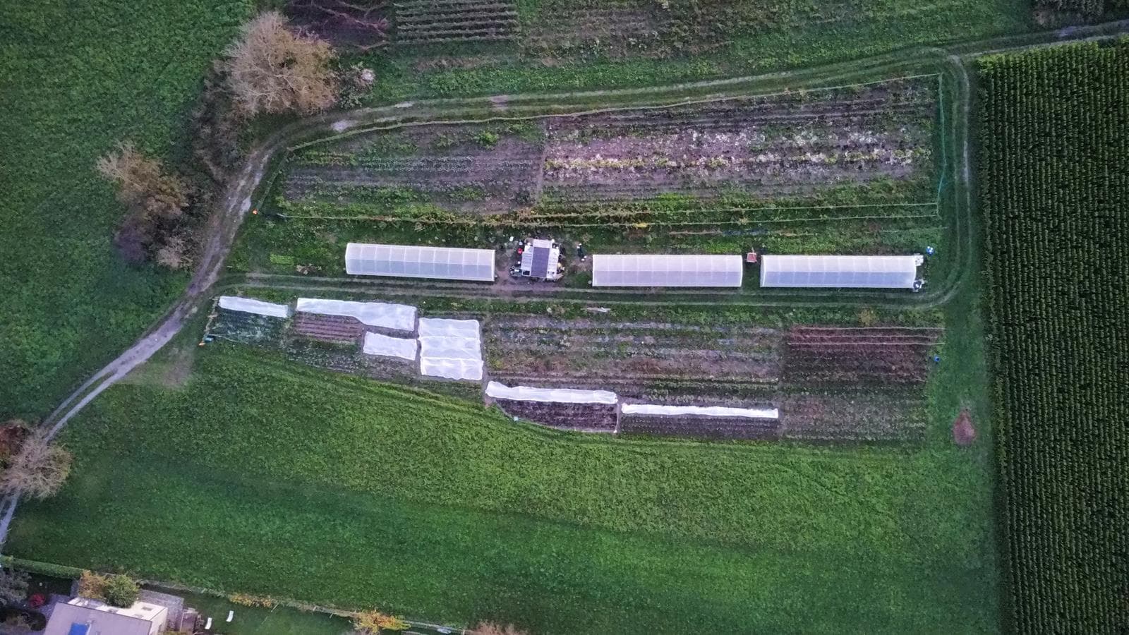 Foto dall’azienda Archeologa del gusto 12