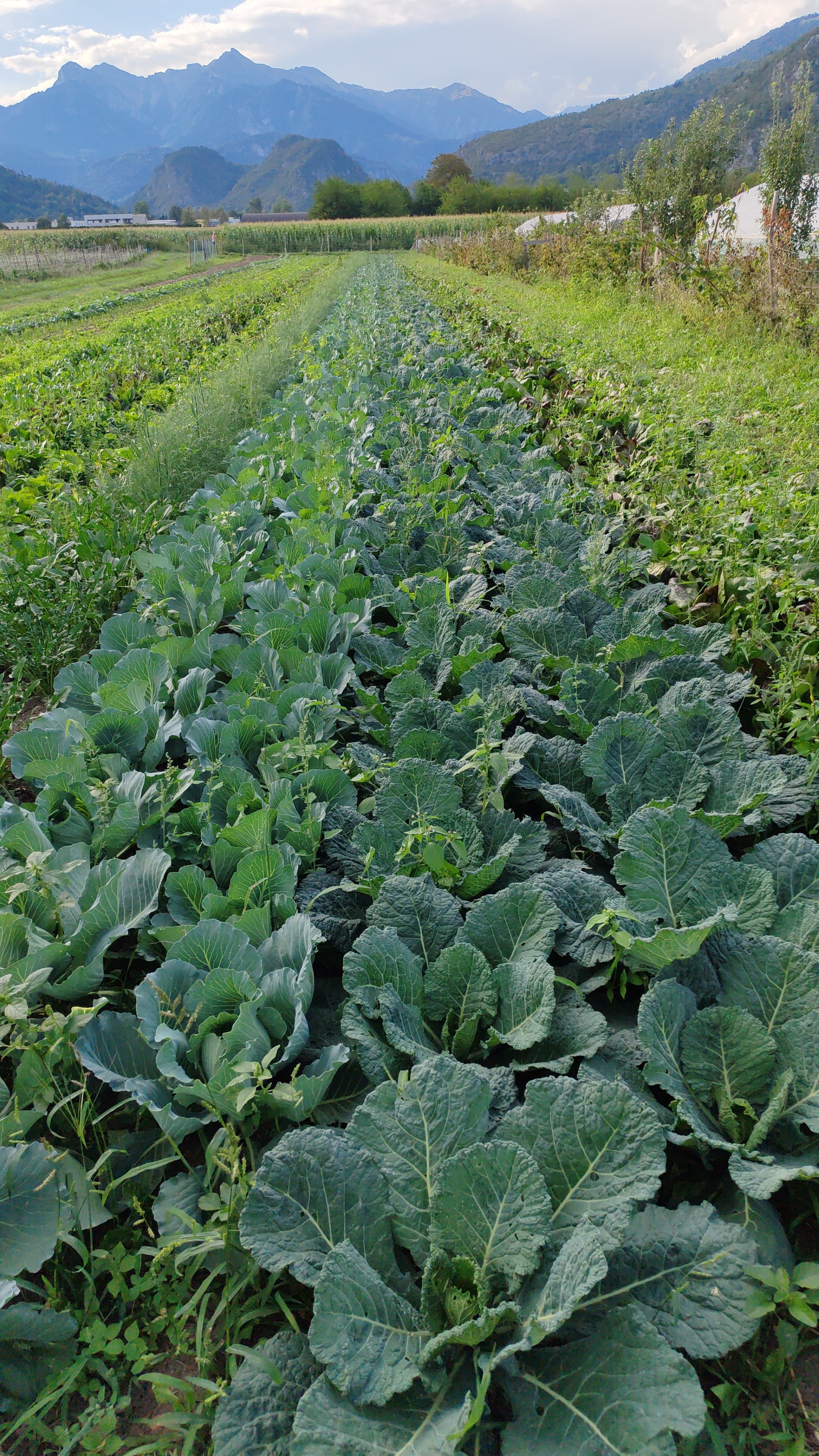Foto dall’azienda Archeologa del gusto 18