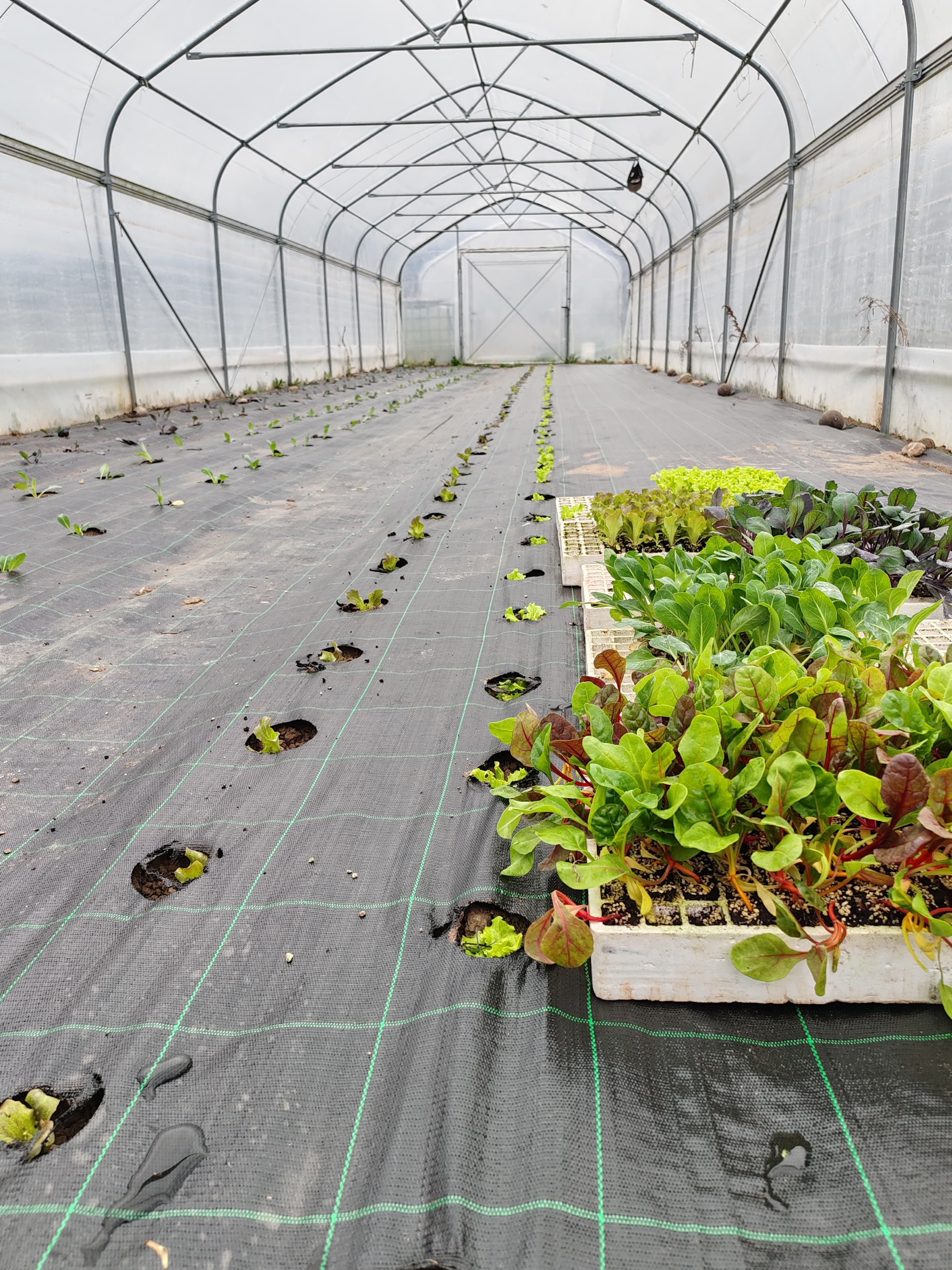 Foto dall’azienda Archeologa del gusto 36