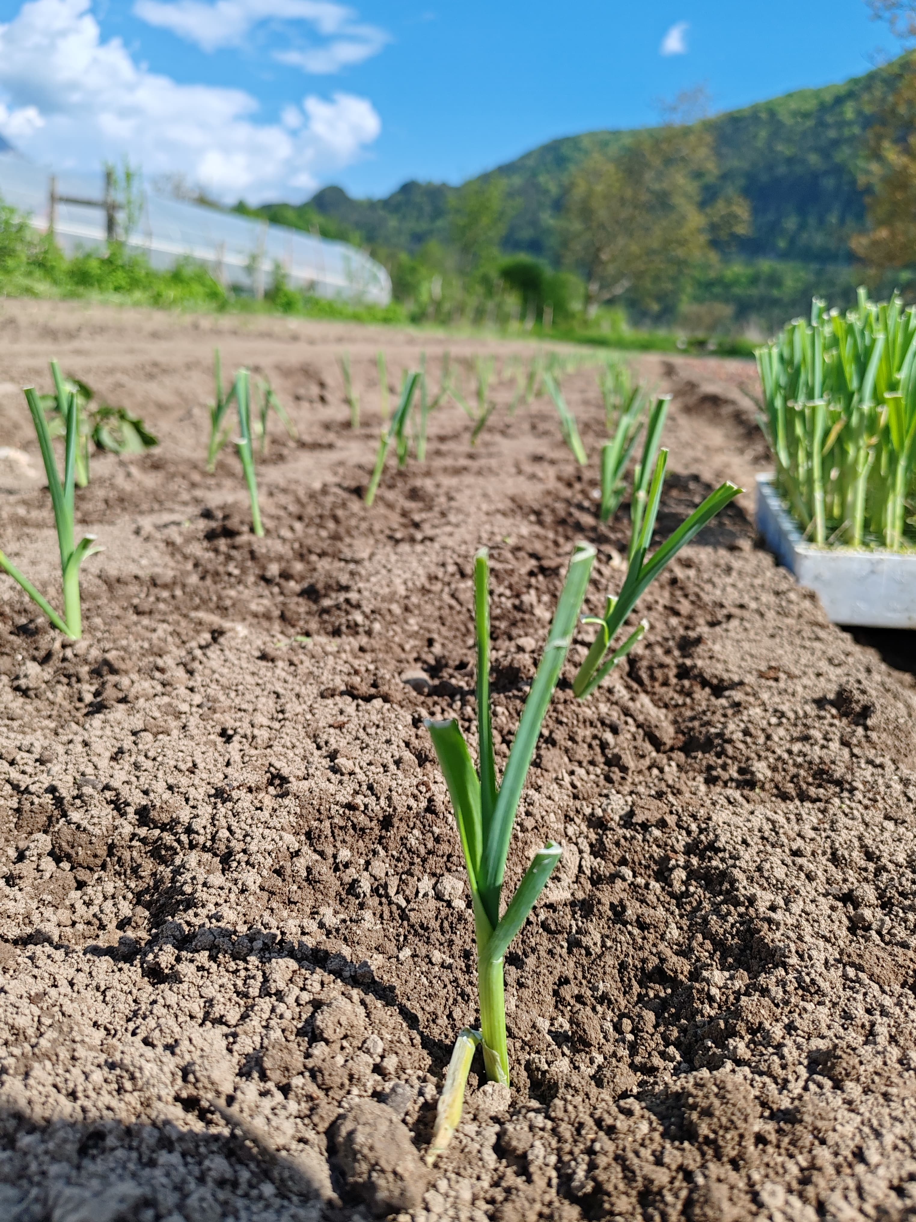 Foto dall’azienda Archeologa del gusto 38