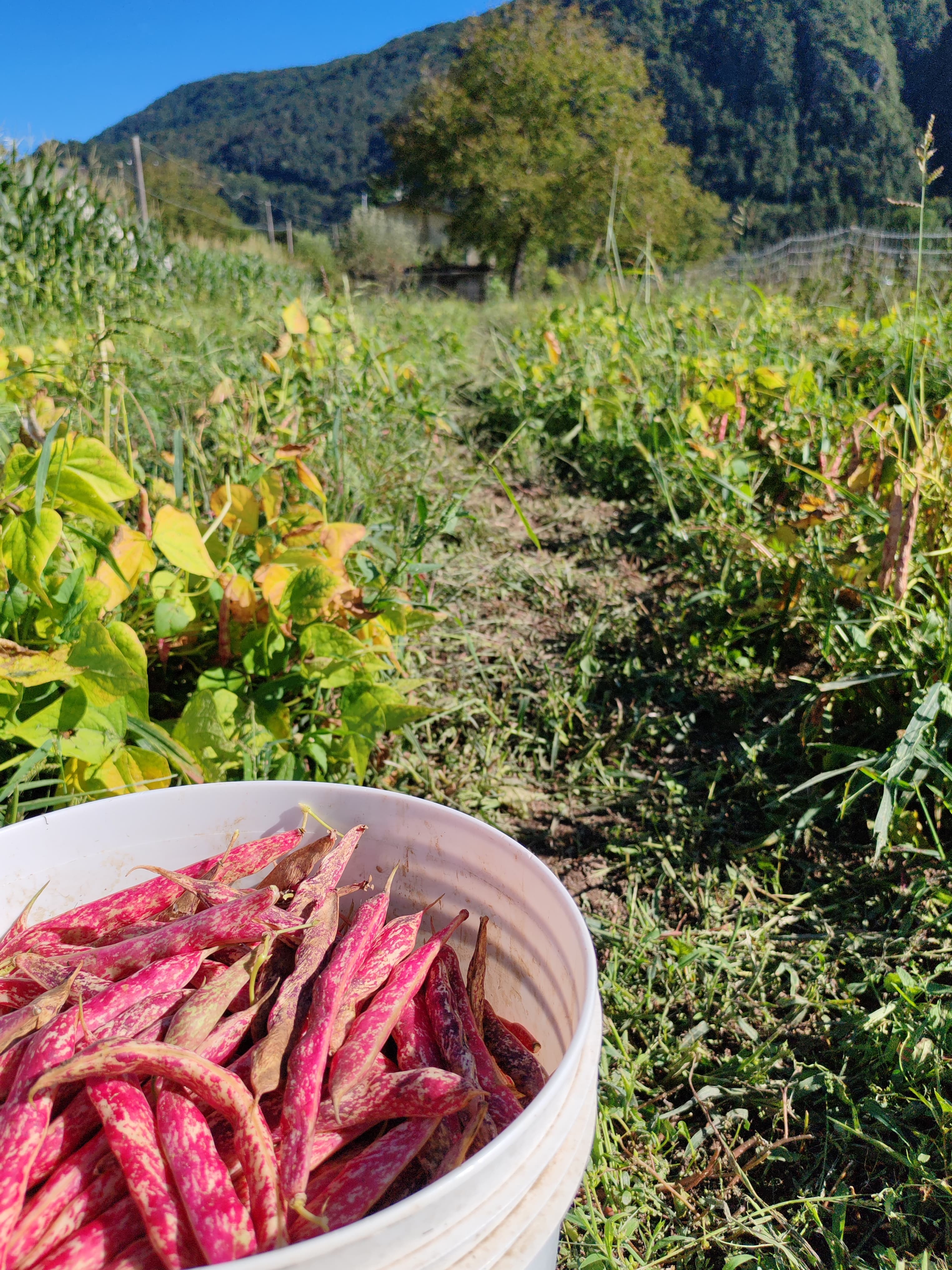 Foto dall’azienda Archeologa del gusto 45