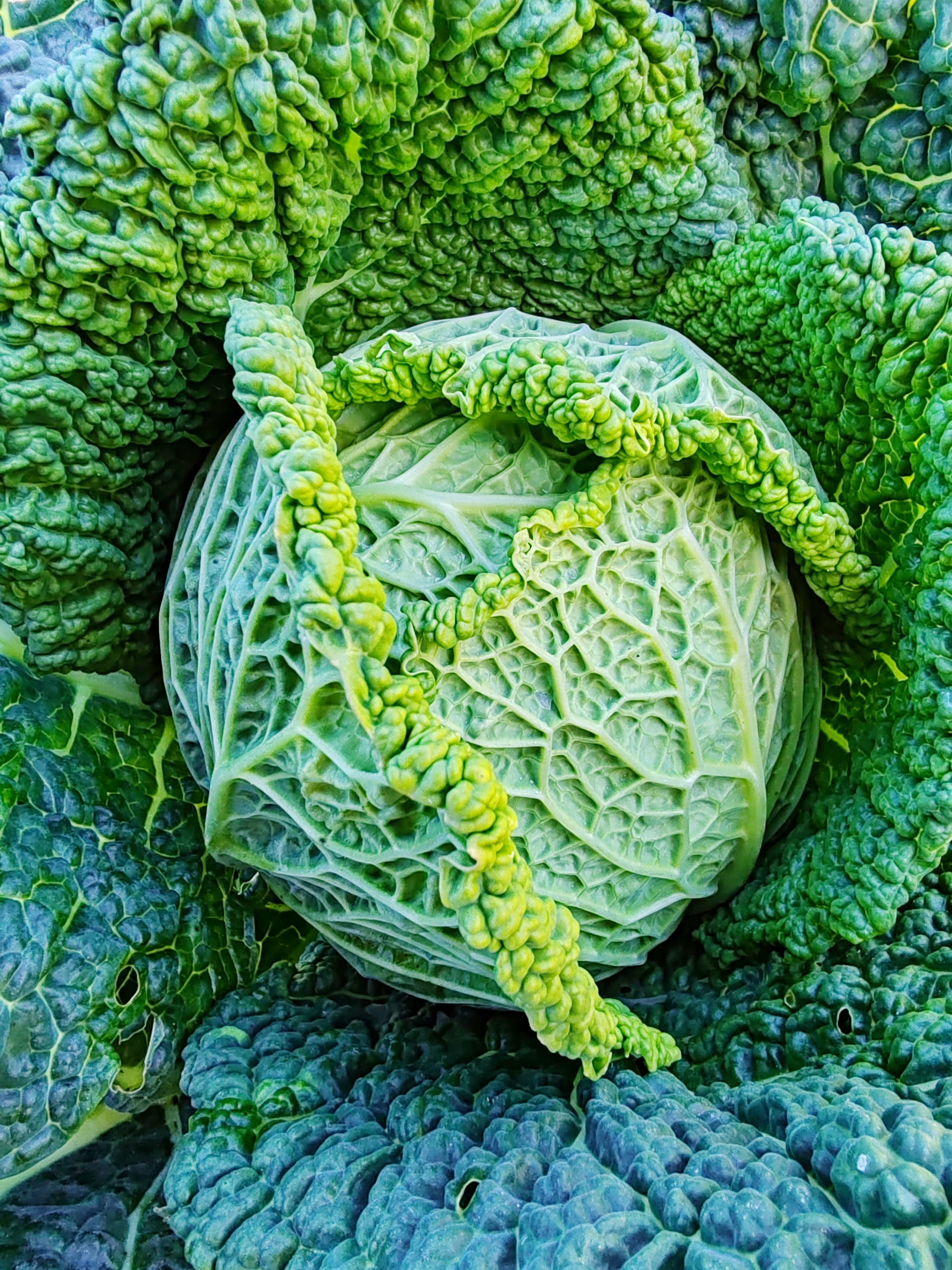 Foto dall’azienda Archeologa del gusto 48