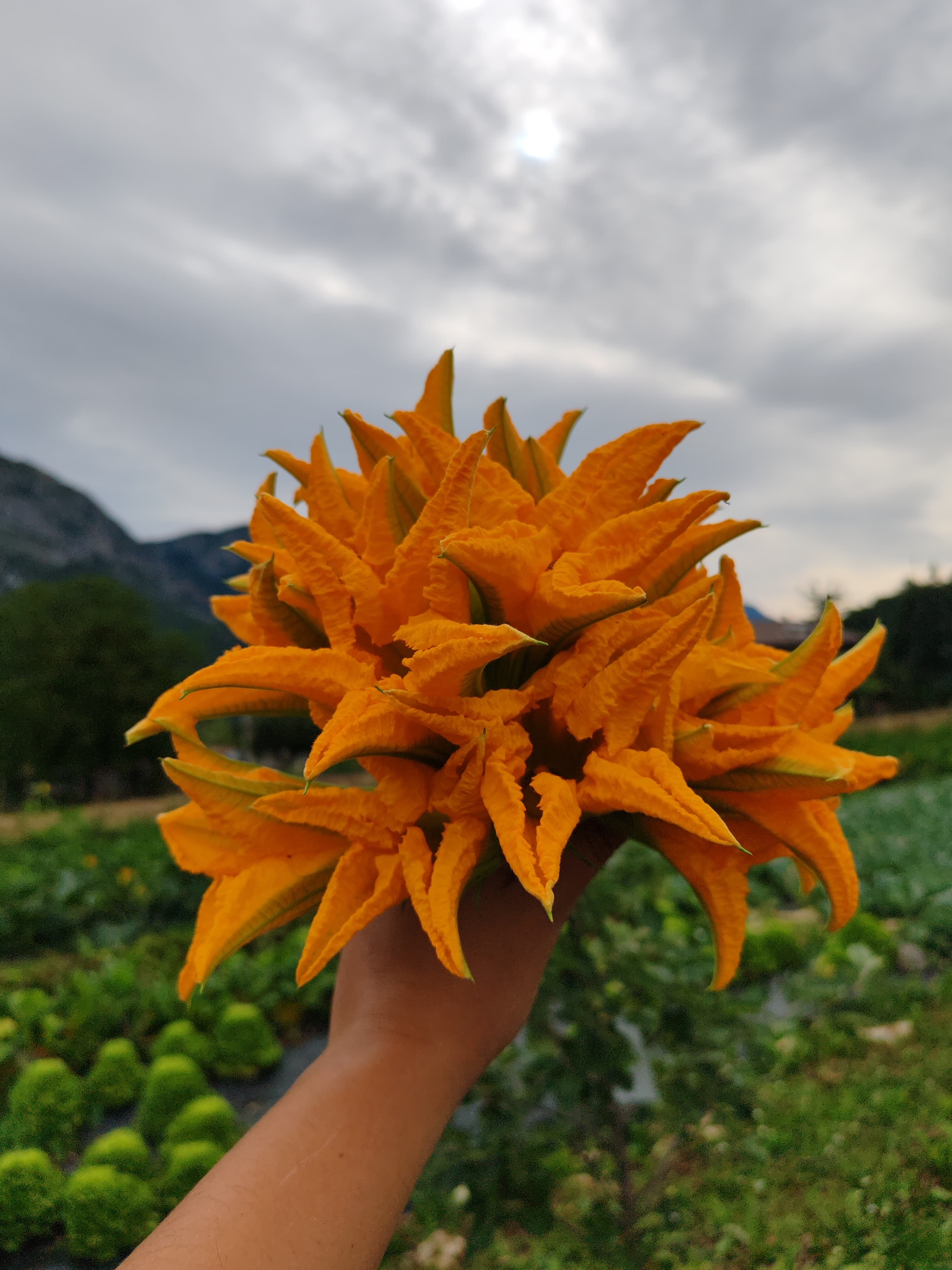 Foto dall’azienda Archeologa del gusto 52