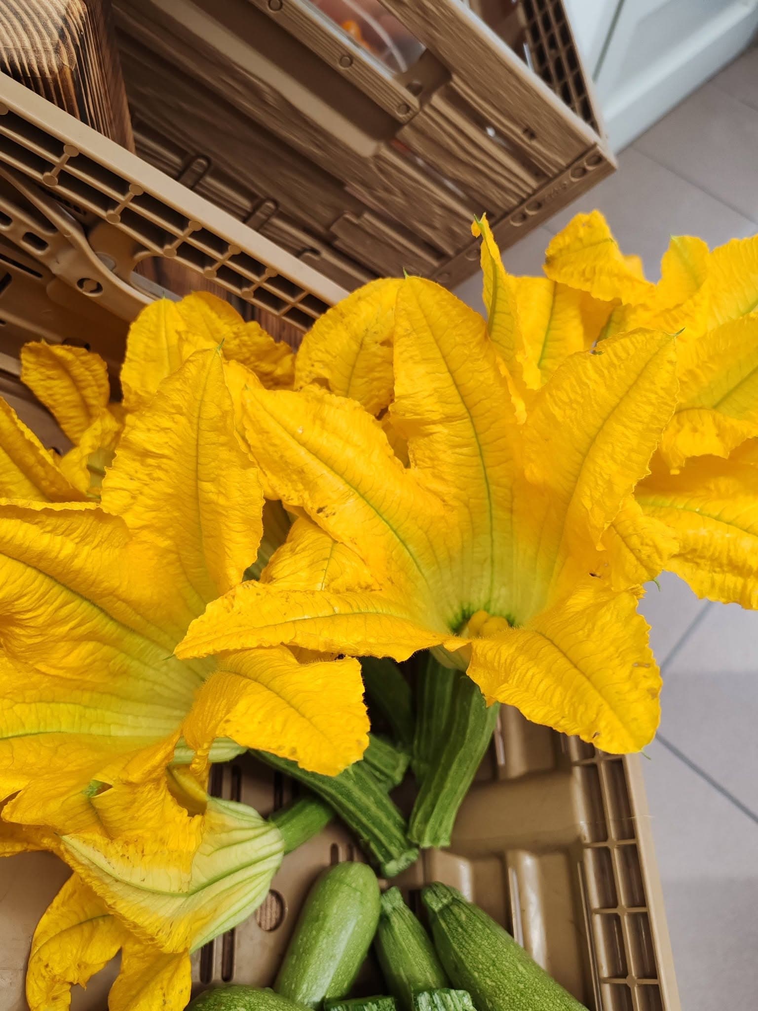 Zucchine fresche